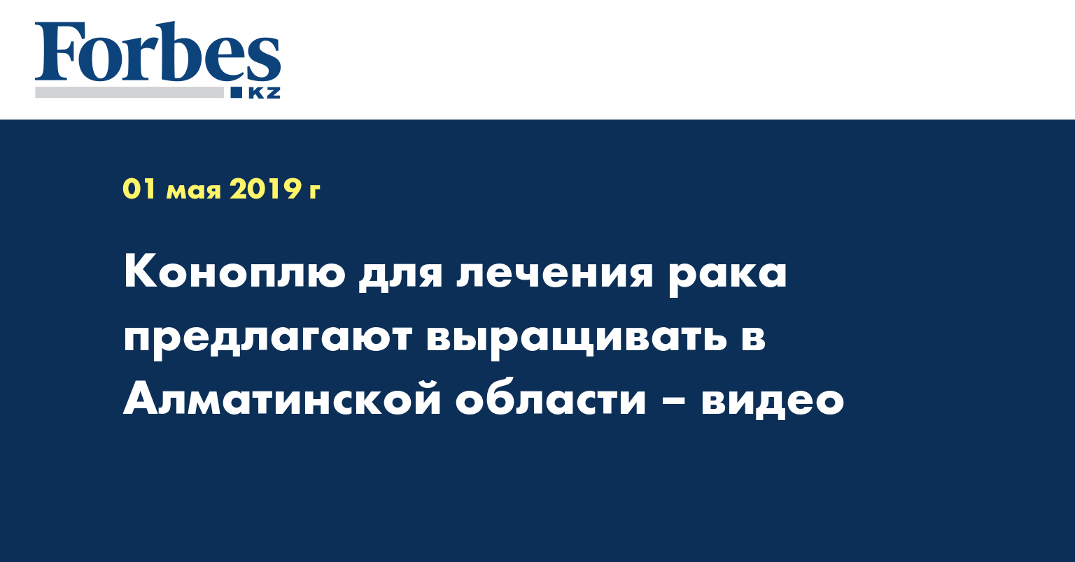 Коноплю для лечения рака предлагают выращивать в Алматинской области – видео  