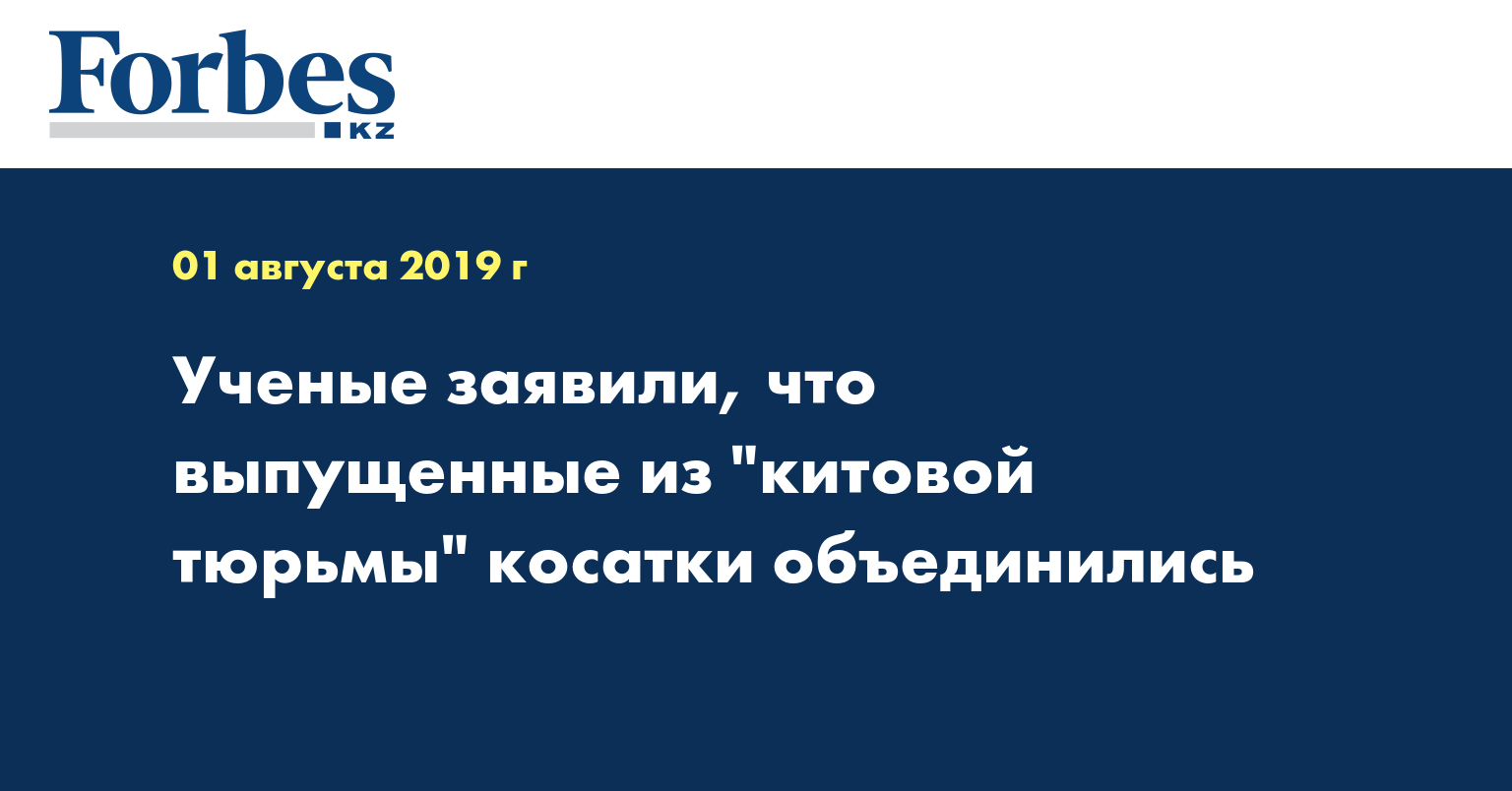  Ученые заявили, что выпущенные из 