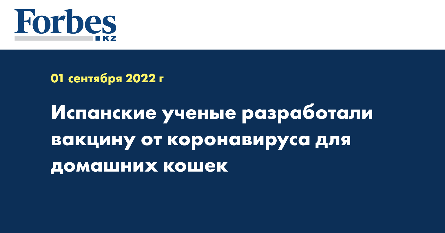 Испанские ученые разработали вакцину от коронавируса для домашних кошек