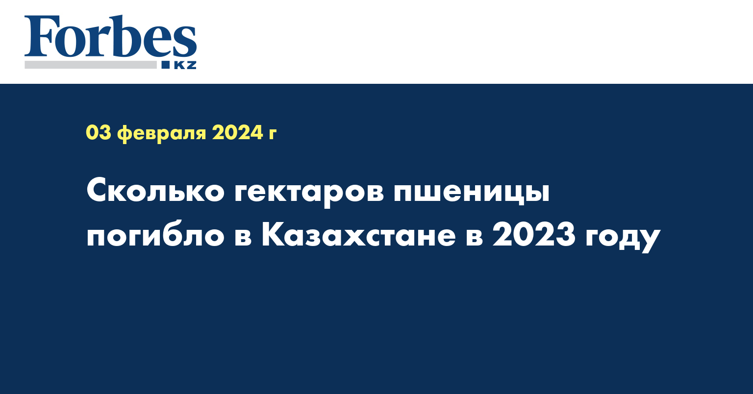 Сколько гектаров пшеницы погибло в Казахстане в 2023 году