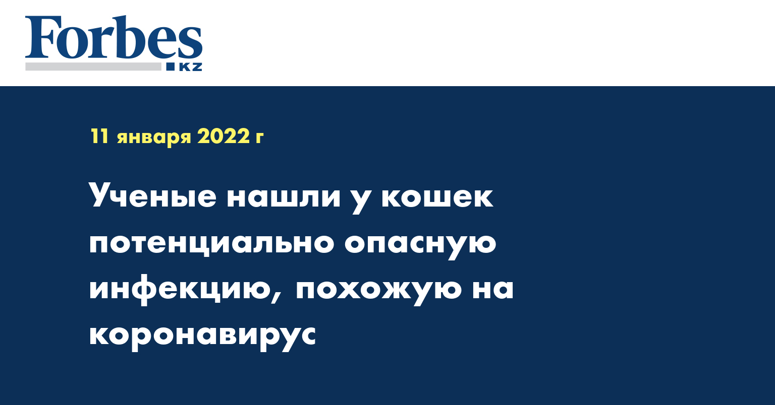 Ученые нашли у кошек потенциально опасную инфекцию, похожую на коронавирус