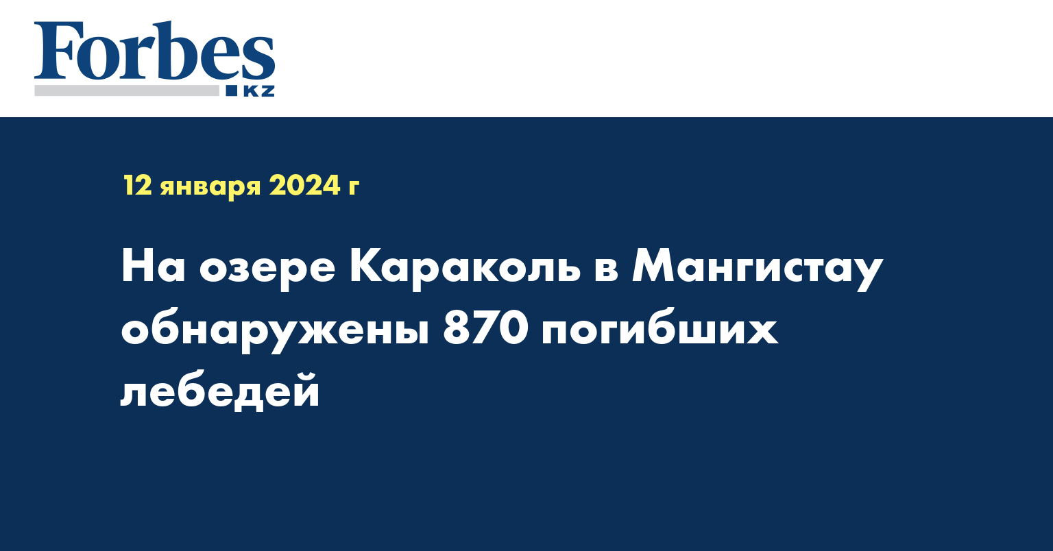 На озере Караколь в Мангистау обнаружены 870 погибших лебедей