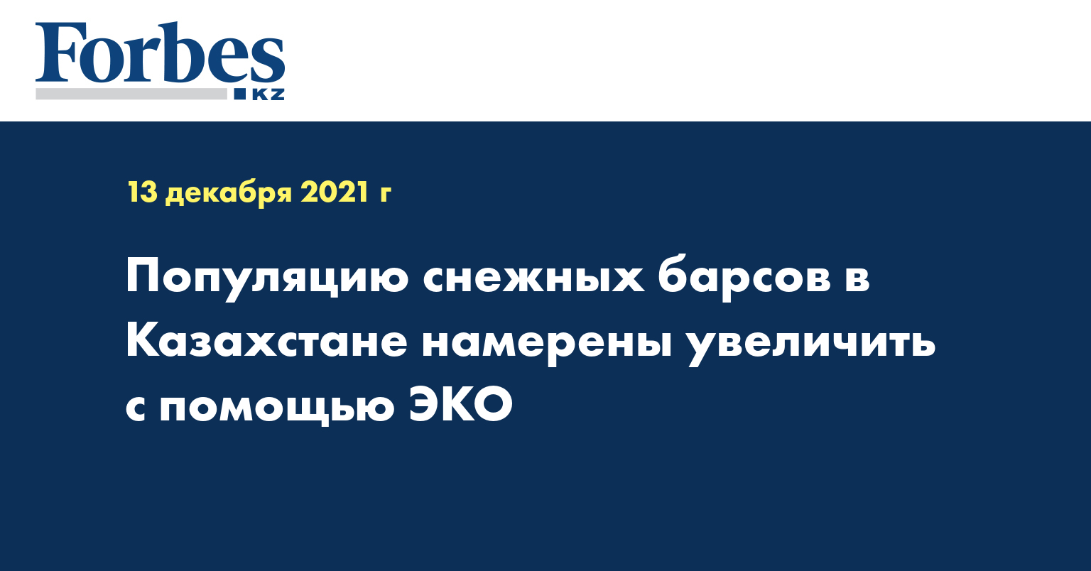 Популяцию снежных барсов в Казахстане намерены увеличить с помощью ЭКО 