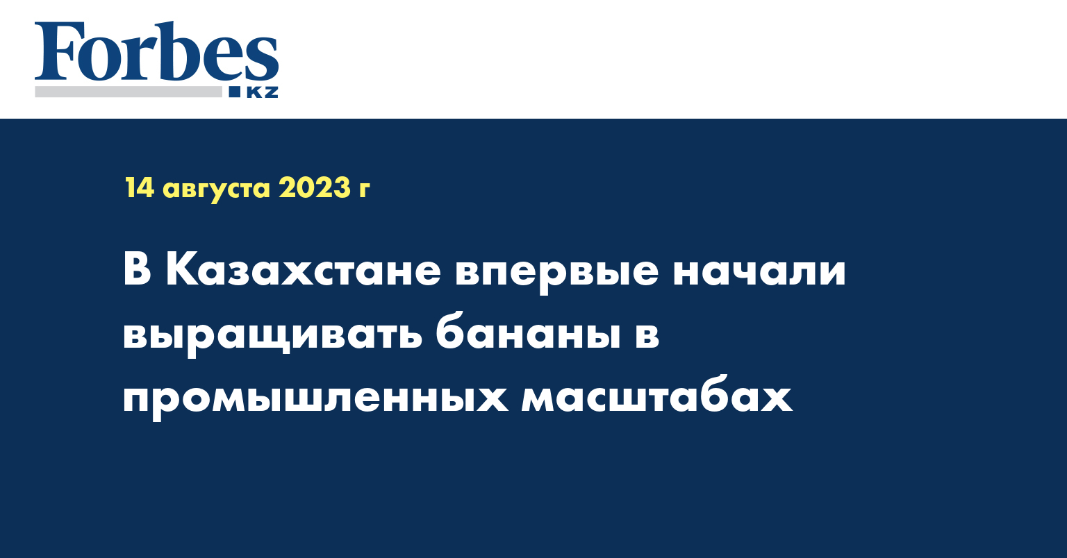 В Казахстане впервые начали выращивать бананы в промышленных масштабах