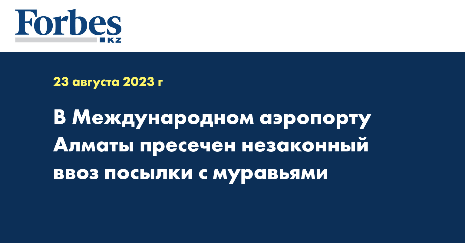 В Международном аэропорту Алматы пресечен незаконный ввоз посылки с муравьями