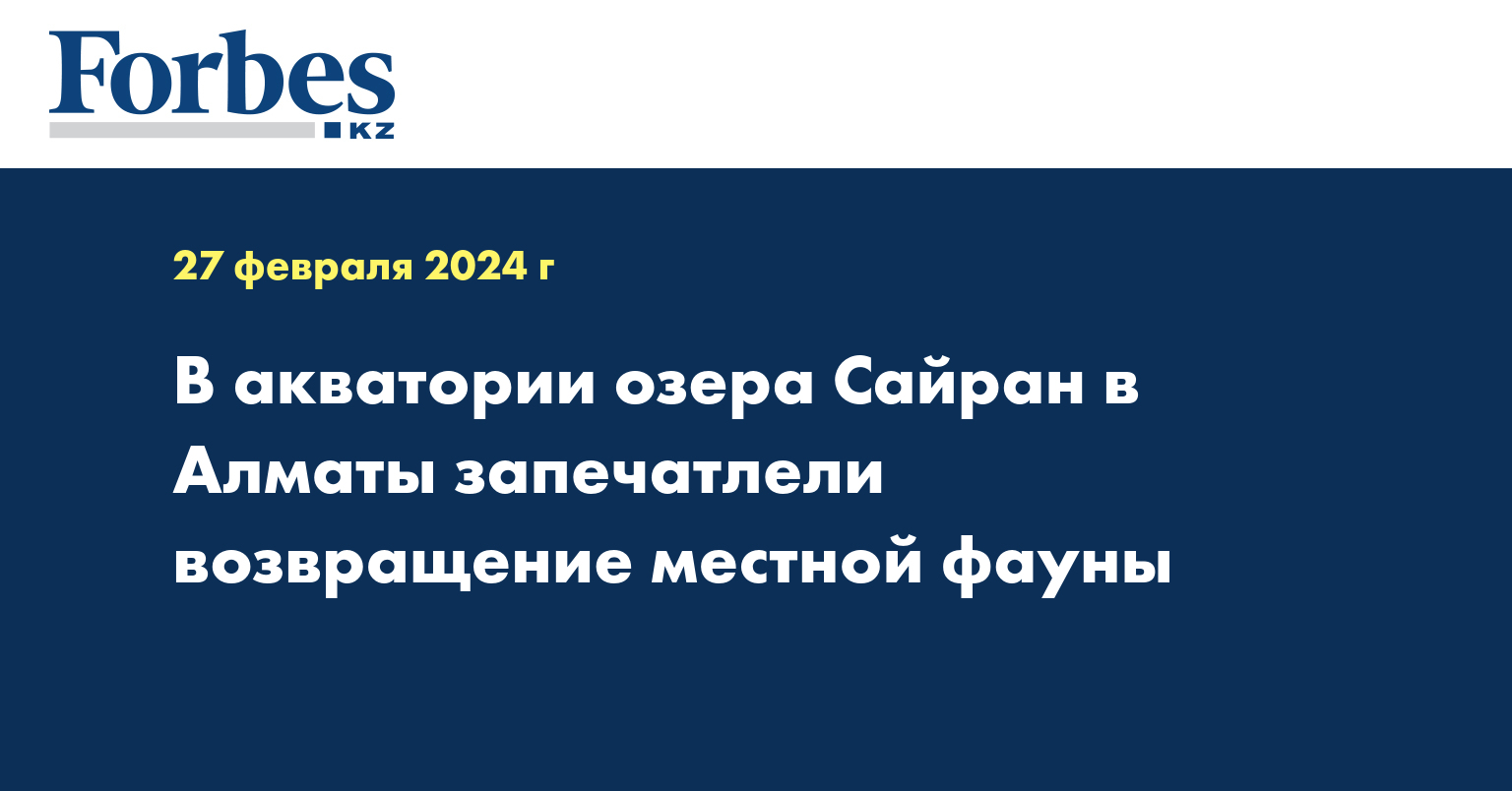 В акватории озера Сайран в Алматы запечатлели возвращение местной фауны