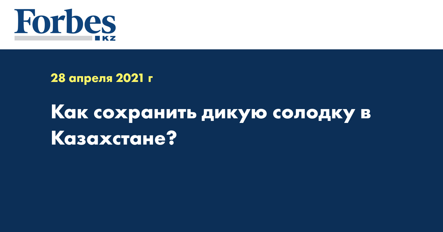 Как сохранить дикую солодку в Казахстане? 