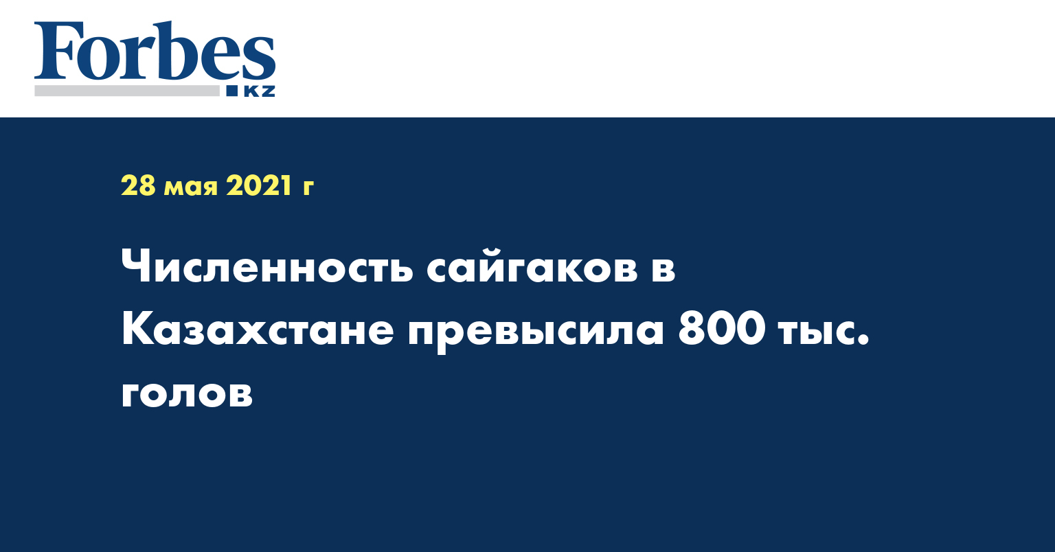 Численность сайгаков в Казахстане превысила 800 тыс. голов