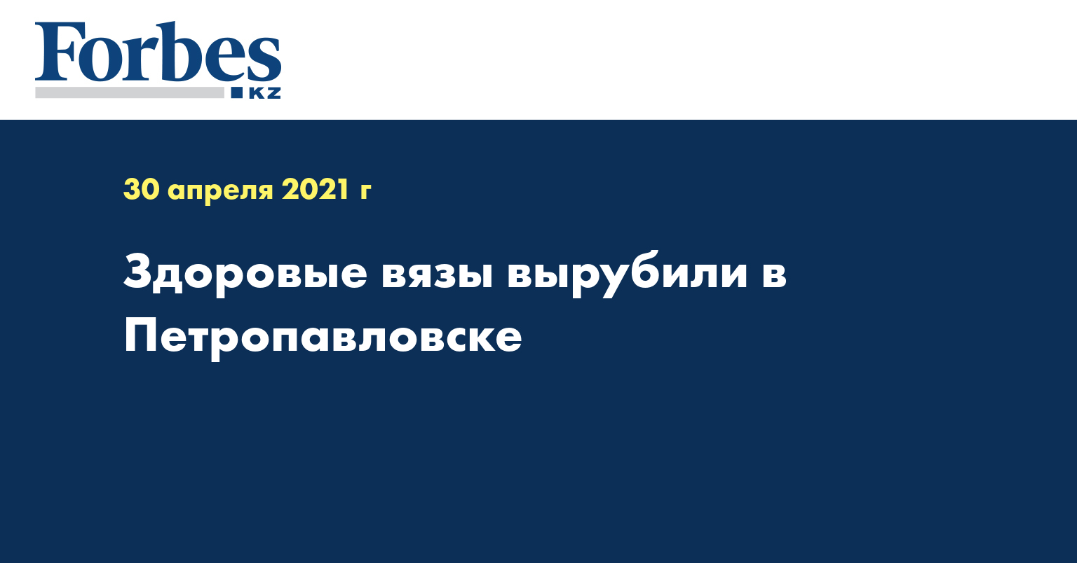 Здоровые вязы вырубили в Петропавловске